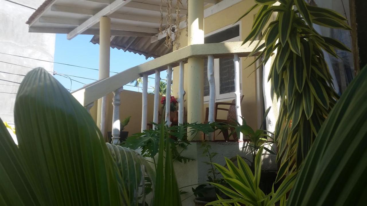 Turtle Reef Guest Bed and Breakfast Mirissa Buitenkant foto